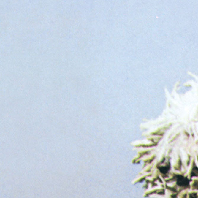 Tom Petty - Full Moon Fever