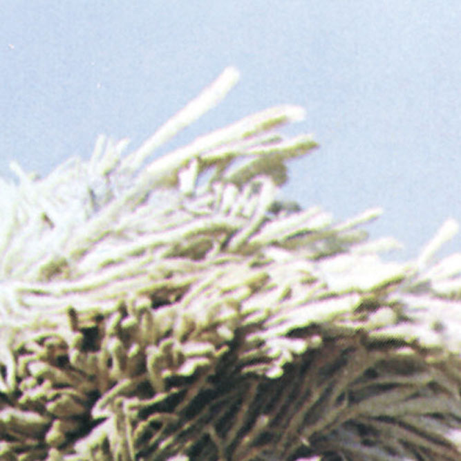 Tom Petty - Full Moon Fever