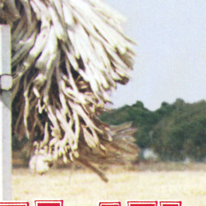 Tom Petty - Full Moon Fever